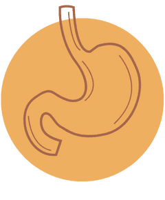Ear seeds for digestive issues