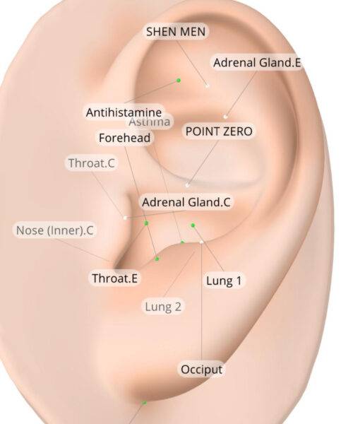 Common Cold Points Ear Seeds