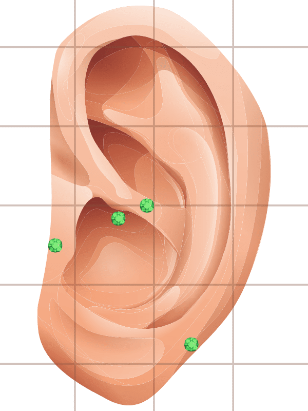 Ear Seed Weight Loss Placement Chart
