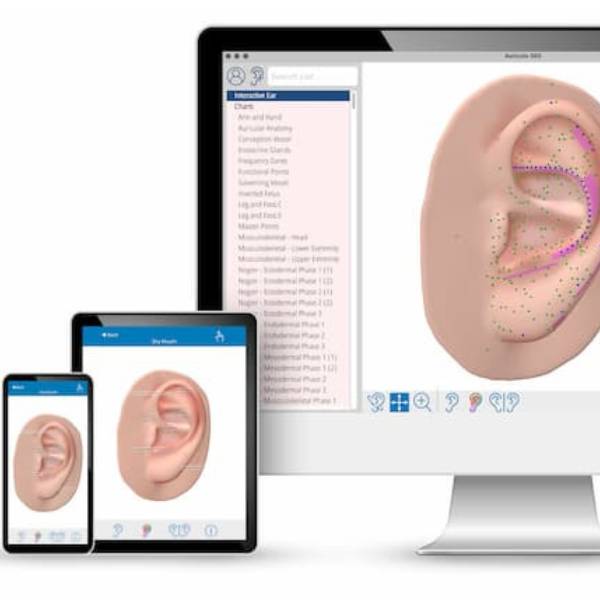 3D Ear Acupressure Chart - Auriculo 360
