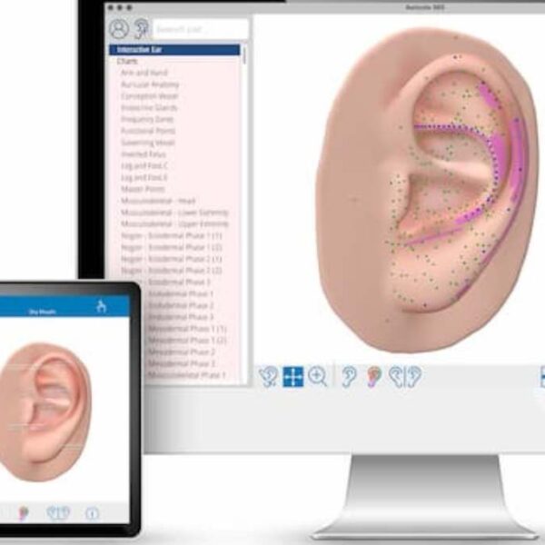 Auriculo 360 review - auriculotherapy software