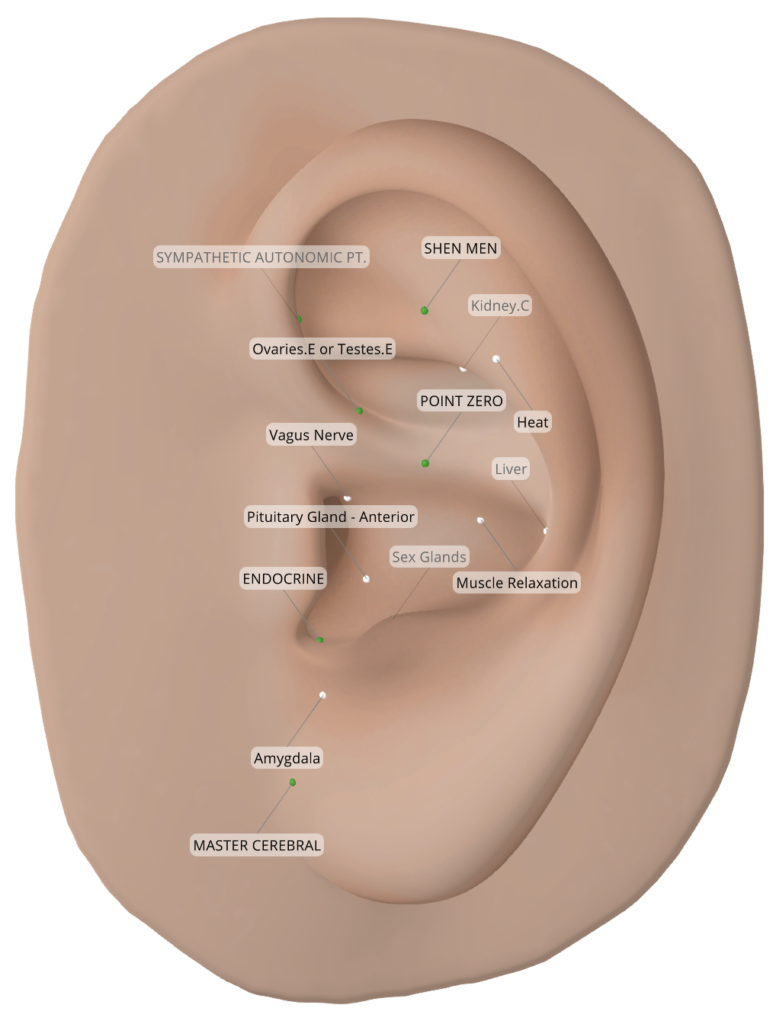 Auriculo 360 ear showing points for hot flashes